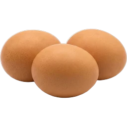 Eier
